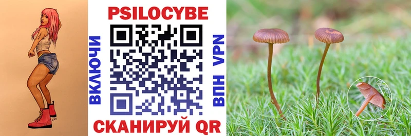Купить где  Югорск  Галлюциногенные грибы мицелий 